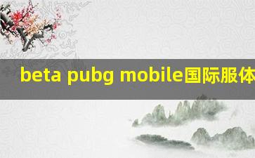 beta pubg mobile国际服体验服